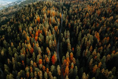 Dağların ve ağaçların hava sonbahar manzarası, Dolomitler Güney Tyrol İtalya. Yüksek kalite fotoğraf