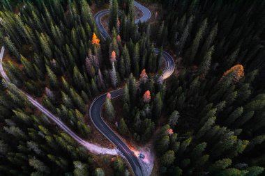 Passo Giau Cortina d Ampezzo Dolomites İtalya 'daki Yılan Yolu' nun Hava Fotoğrafı. Yüksek kalite fotoğraf