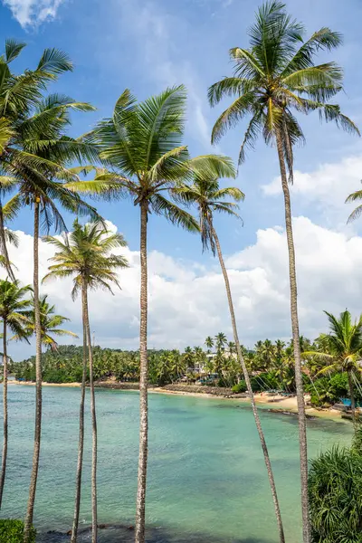 Famous Coconut Tree Hill in Mirissa, Sri Lanka Beach next to the Indian Ocean. High quality photo