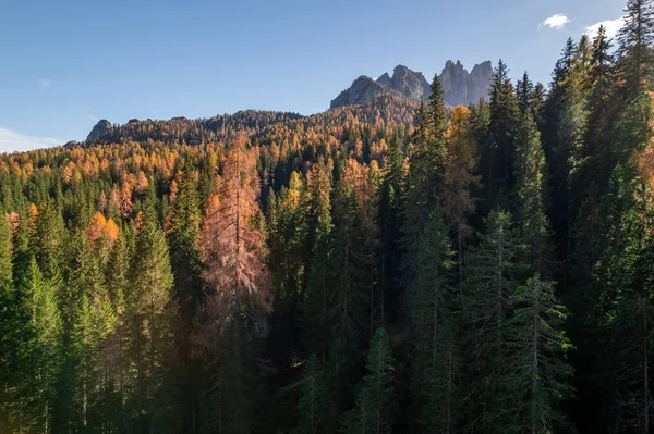 Dolomites South Tyrol İtalya 'sında Passo Giau' da sonbahar manzarası. Yüksek kalite fotoğraf