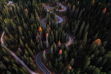 Passo Giau Cortina d Ampezzo Dolomites İtalya 'daki Yılan Yolu' nun Hava Fotoğrafı. Yüksek kalite fotoğraf