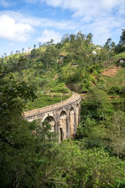 Ella 'da güneşli bir günde ünlü dokuz kemer köprüsü, Sri Lanka tren yolculuğu. Yüksek kalite fotoğraf