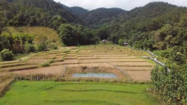 Pai Tayland 'daki Bambu Köprüsü' nde yürüyen birinin hava görüntüsü. Chiang Mai Eyaleti. Yüksek kaliteli FullHD görüntüler