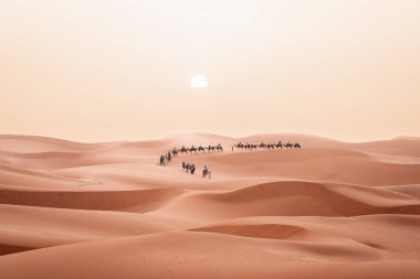 Güneş doğarken Merzouga Fas 'taki Sahara Çölü' nde turistlerle deve yürüyüşü. Yüksek kalite fotoğraf