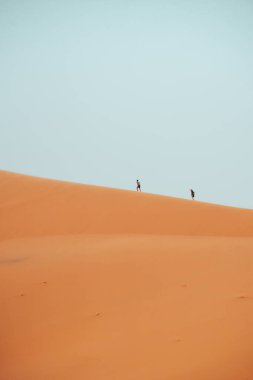 Sahra Çölü, Merzouga, Fas 'taki Erg Chebbi tepelerine tırmanan insanlar. Yüksek kalite fotoğraf