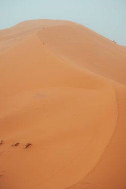 Sahra Çölü, Merzouga, Fas 'taki Erg Chebbi tepelerine tırmanan insanlar. Yüksek kalite fotoğraf