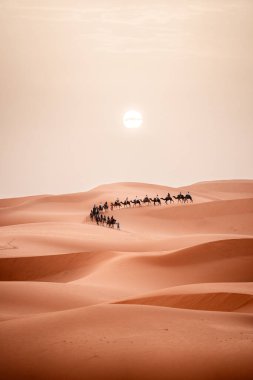 Güneş doğarken Merzouga Fas 'taki Sahara Çölü' nde turistlerle deve yürüyüşü. Yüksek kalite fotoğraf
