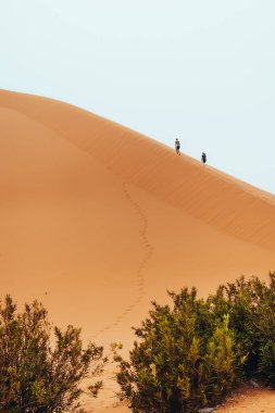 Sahra Çölü, Merzouga, Fas 'taki Erg Chebbi tepelerine tırmanan insanlar. Yüksek kalite fotoğraf