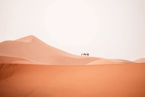 Kameel Tocht Tijdens Zonsopgang Met Toeristen Sahara Woestijn Merzouga Marokko — Stockfoto