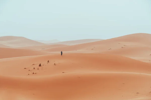 Інцидентний Чоловік Блукає Пустелі Сахара Мерзуга Марокко Високоякісна Фотографія — стокове фото