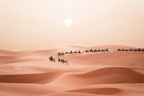 Wędrówka Wielbłąda Podczas Wschodu Słońca Turystami Pustyni Sahara Merzouga Maroko — Zdjęcie stockowe