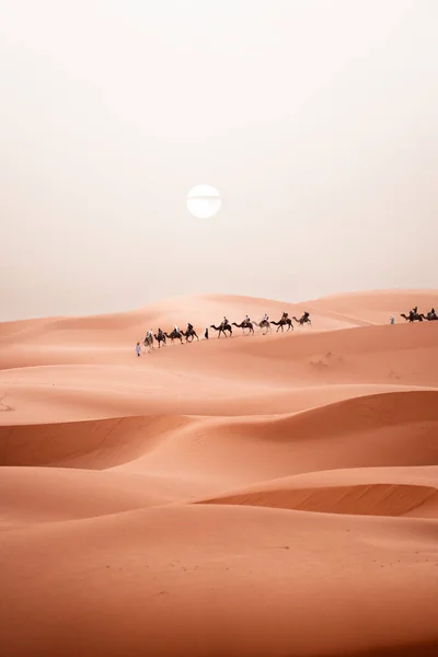 Camel Οδοιπορικό Κατά Την Ανατολή Του Ηλίου Τους Τουρίστες Στην — Φωτογραφία Αρχείου
