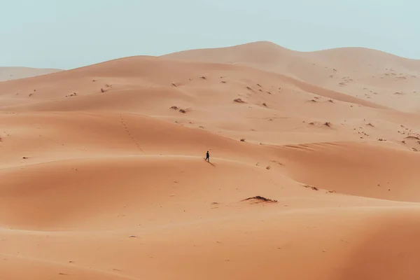 Sahra Çölü Merzouga Fas Dolaşan Tesadüfi Bir Adam Yüksek Kalite — Stok fotoğraf