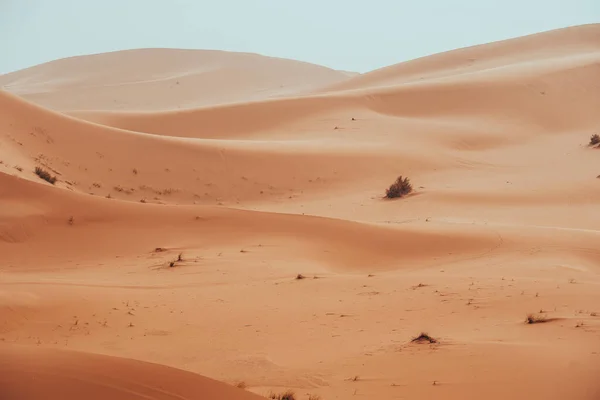 Güneş Doğarken Kum Dokusu Sahra Merzouga Çölü Manzarası Yüksek Kalite — Stok fotoğraf