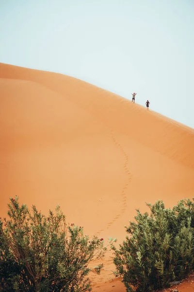 Люди Піднімаються Ерг Чеббі Дюни Пустелі Сахара Мерзуга Марокко Високоякісна — стокове фото