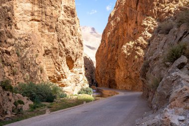 Dades Gorge Vadisi Kanyonu 'ndan geçen dar yol, Fas' taki Atlas Dağları. Yüksek kalite fotoğraf