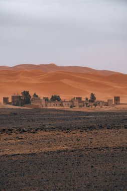 Merzouga, Fas 'taki büyük Sahra Çölü' nün önündeki evler ve palmiye ağaçları. Yüksek kalite fotoğraf