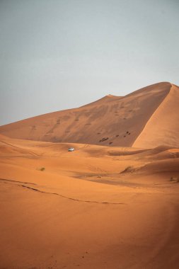 Yağmurlu bir günün ardından Fas Sahra Merzouga Çölü 'nde kum dokusu. Yüksek kalite fotoğraf