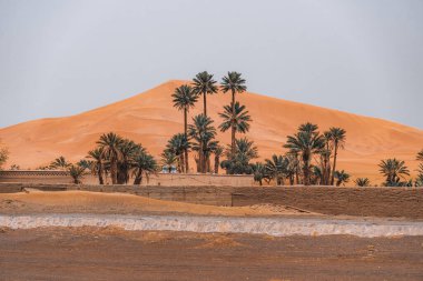 Merzouga, Fas 'taki büyük Sahra Çölü' nün önündeki evler ve palmiye ağaçları. Yüksek kalite fotoğraf