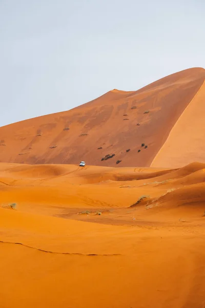 Песчаная Текстура Марокко Сахара Мерзуга Пустыня После Дождливого Дня Высокое — стоковое фото