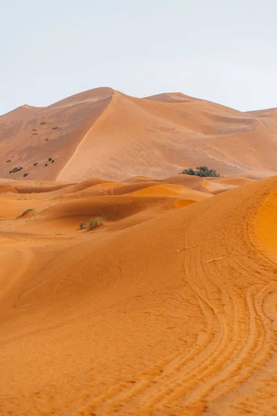 モロッコのサハラ砂漠のサンドテクスチャ 雨の日の後 高品質の写真 — ストック写真
