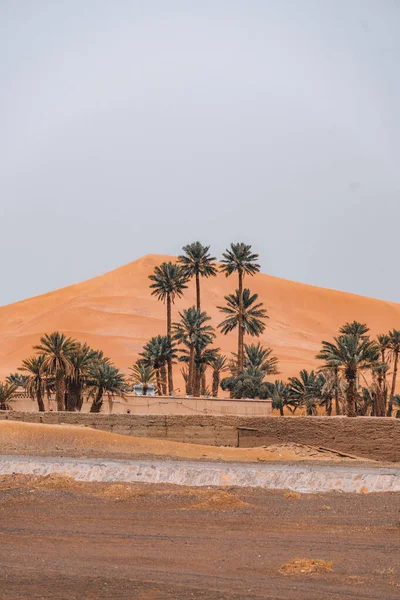 Merzouga Fas Taki Büyük Sahra Çölü Nün Önündeki Evler Palmiye — Stok fotoğraf