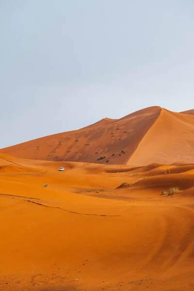 Άμμος Υφή Στο Μαρόκο Σαχάρα Merzouga Desert Μετά Από Μια — Φωτογραφία Αρχείου