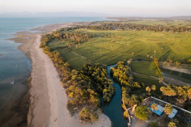 Kupang, Doğu Nusa Tenggara, Endonezya 'daki pirinç tarlalarının hava görüntüsü. Yüksek kalite fotoğraf