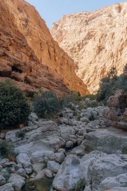 Wadi Shab, Canyon, Valley, Muscat Umman 'a yakın yüzmek için mavi suları olan vaha. Yüksek kalite fotoğraf