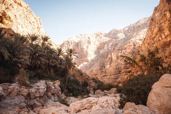 Wadi Shab, Canyon, Valley, Muscat Umman 'a yakın yüzmek için mavi suları olan vaha. Yüksek kalite fotoğraf