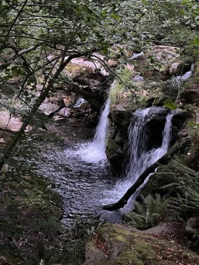 CANTABRIA, PICOS DE EUROPA, İSPAN