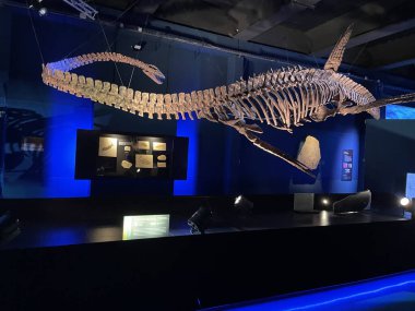 Teruel, Aragon, Dinpolis, İspanya