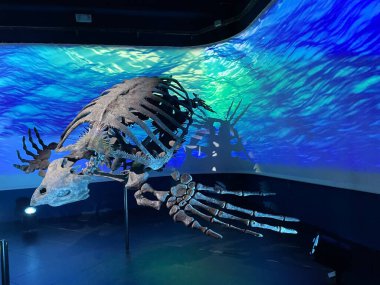 Teruel, Aragon, Dinpolis, İspanya