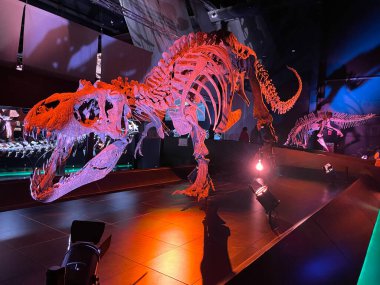 Teruel, Aragon, Dinpolis, İspanya