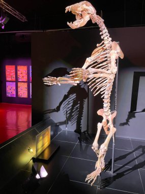 Teruel, Aragon, Dinpolis, İspanya