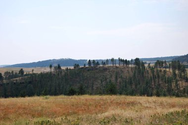Güney Dakota, Black Hills 'deki Panorama Peyzajı