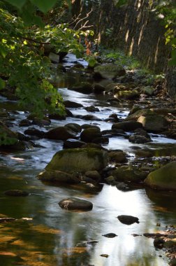 Harz Dağları 'ndaki Ilse Nehri' nde sonbahar manzarası, Saksonya - Anhalt