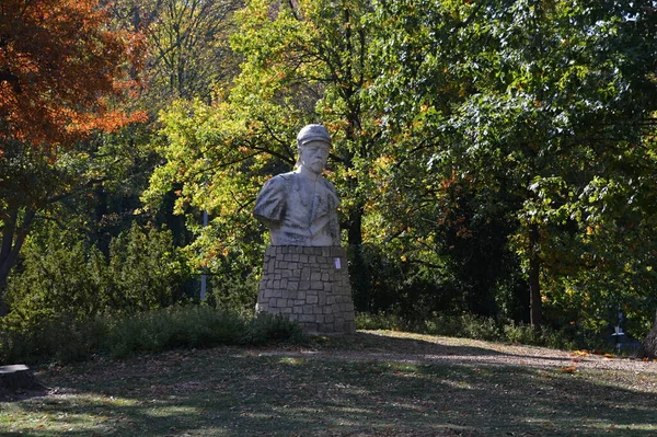 Статуя Осенью Озере Ванзее Целендорф Берлине Столице Германии — стоковое фото