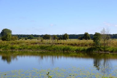 Baharda Alte Leine Nehri 'nin manzarası. Ahlden Köyü, Aller Nehri, Aşağı Saksonya.