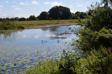 Leine Nehri manzarası, Schwarmstadt, Aşağı Saksonya