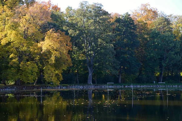 勃兰登堡莱茵堡市格里内力克湖的秋季风景 — 图库照片