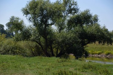 Baharda Aller Nehri 'nde manzara, Hodenhagen, Aşağı Saksonya