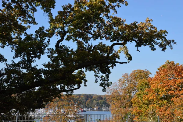 位于德国首都柏林 Zehlendorf Wannsee湖的秋天公园 — 图库照片