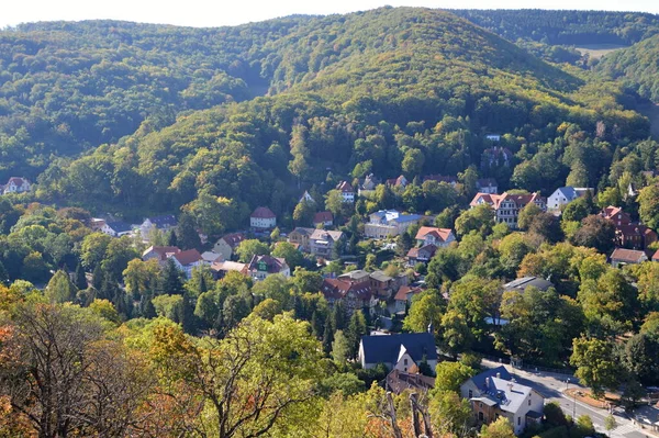 萨克森 安哈尔特哈茨山区Wernigerode古城全景 — 图库照片