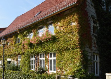 Sonbaharda Saksonya 'nın Harz Dağları' ndaki Ilsenburg Eski Kasabası 'ndaki Tarihi Bina
