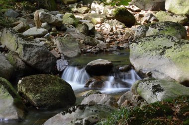 Sonbaharda Saksonya 'nın Ilse Nehri' nde manzara
