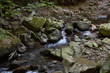 Sonbaharda Harz Dağları 'ndaki Ilse Nehri' nin manzarası, Saksonya - Anhalt