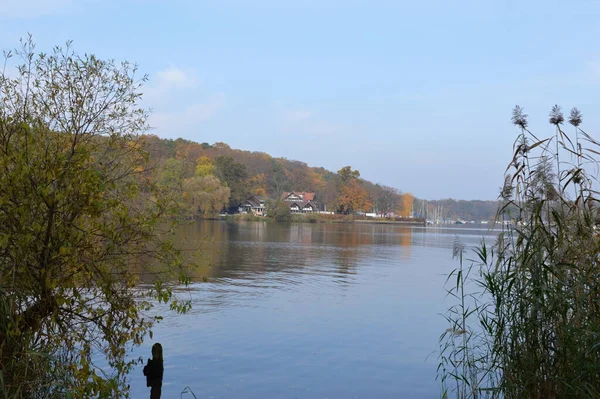 Пейзаж Восени Біля Річки Гафель Берліні Столиці Німеччини — стокове фото