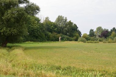 Baharda Schwarmstedt, Aşağı Saksonya 'daki Leine Nehri' nin manzarası