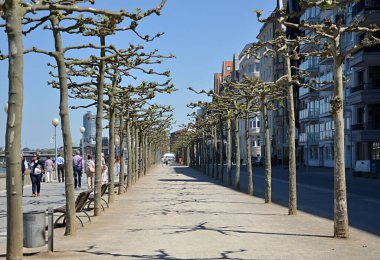 Kuzey Ren 'in başkenti Duesseldorf' taki Ren Nehri 'nde gezinti, Vestfalya